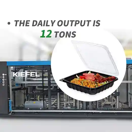 yangrui Custom To Go Boxes to go meal boxes and recyclable to go